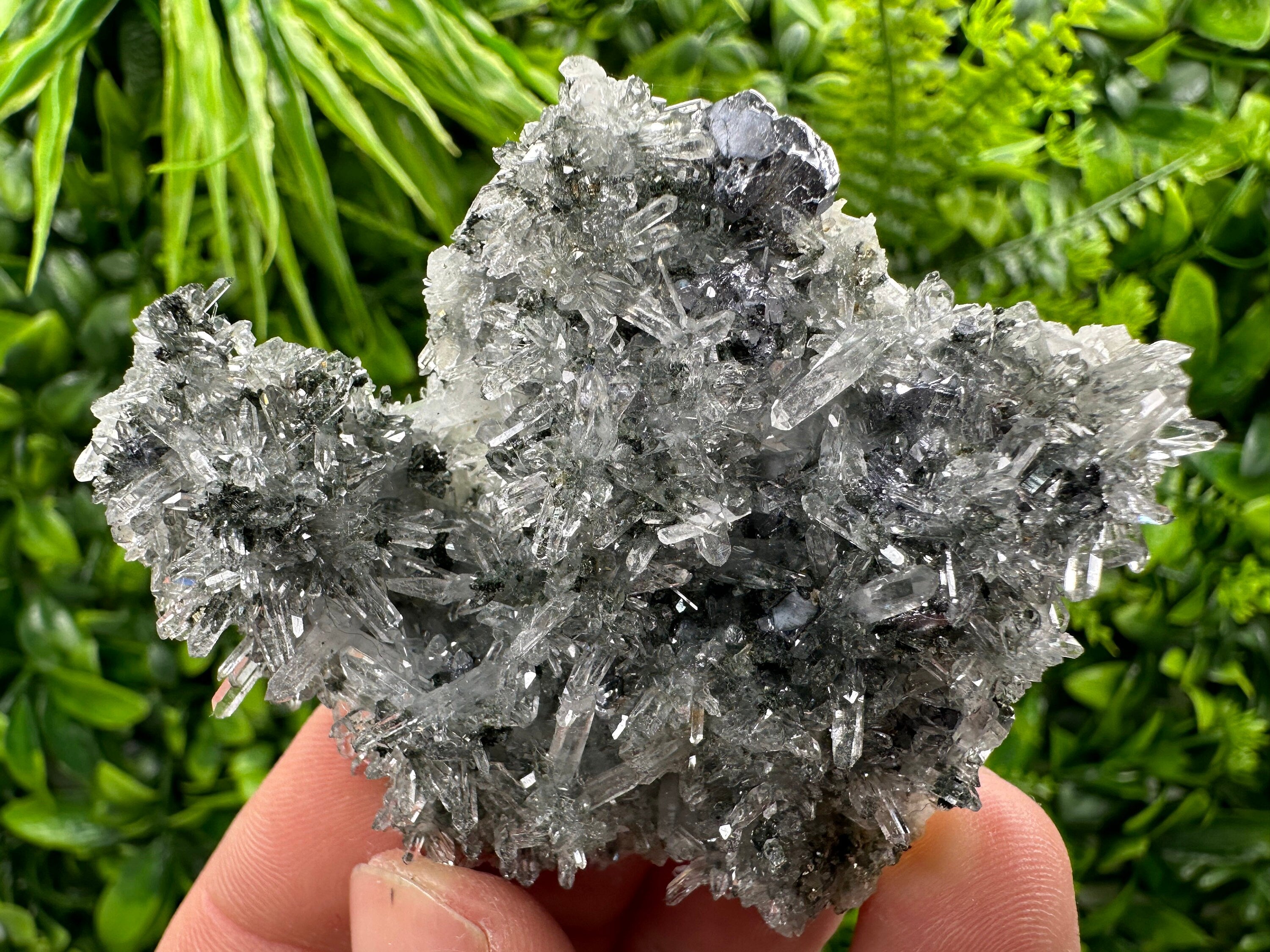 Galena Pyrite on Quartz, Borieva Mine, Bulgaria