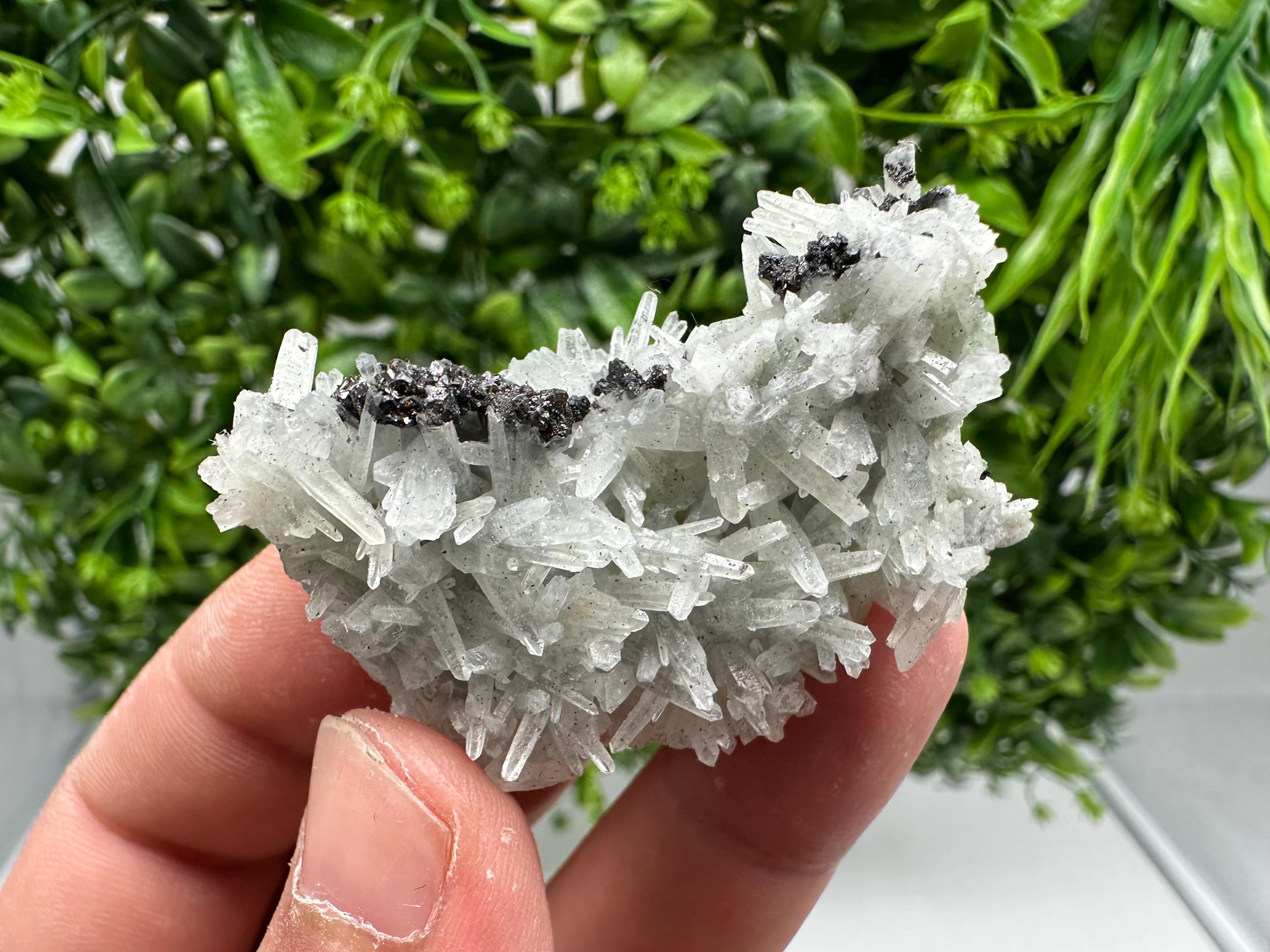 Stunning Sphalerite on  Quarzt from Borieva mine,Madan,Bulgaria,natural,collection mineral specimen,home decor crystal,gift,collection