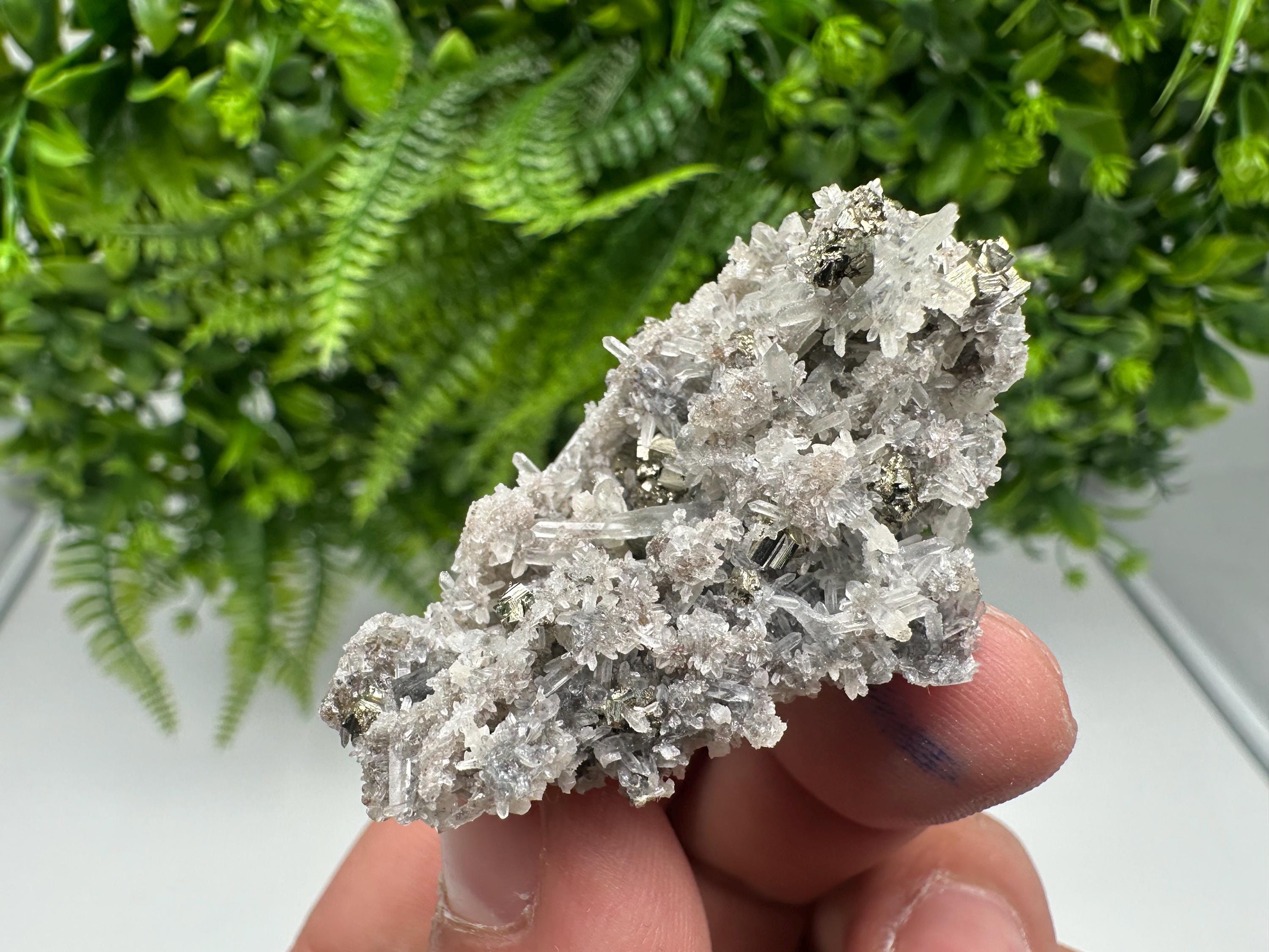 Pyrite on Green Quartz Mineral Specimen, Borieva Mine Bulgaria