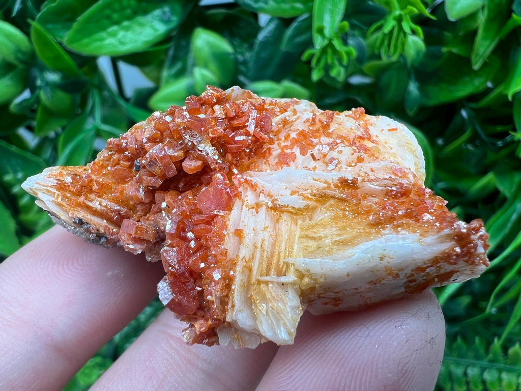Red Vanadinite on Barite Specimen, Morocco Crystal Mineral