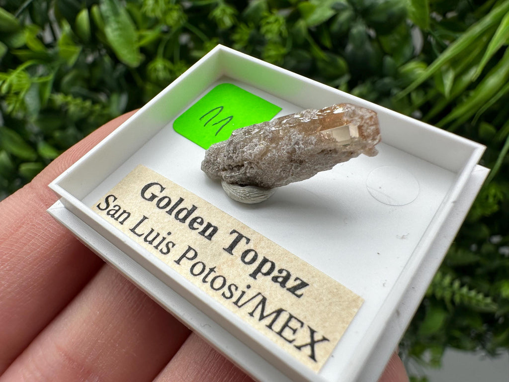 Golden Topaz Crystal, Mineral Specimen from Mexico