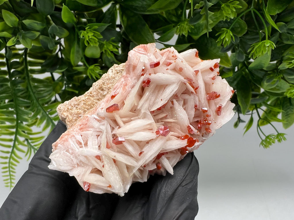 Red Vanadinite on Barite from Marocco,crystal minerals Speciment cluster Vanadinite crystal Vanadinite Geology Vanadinite cluster minerals