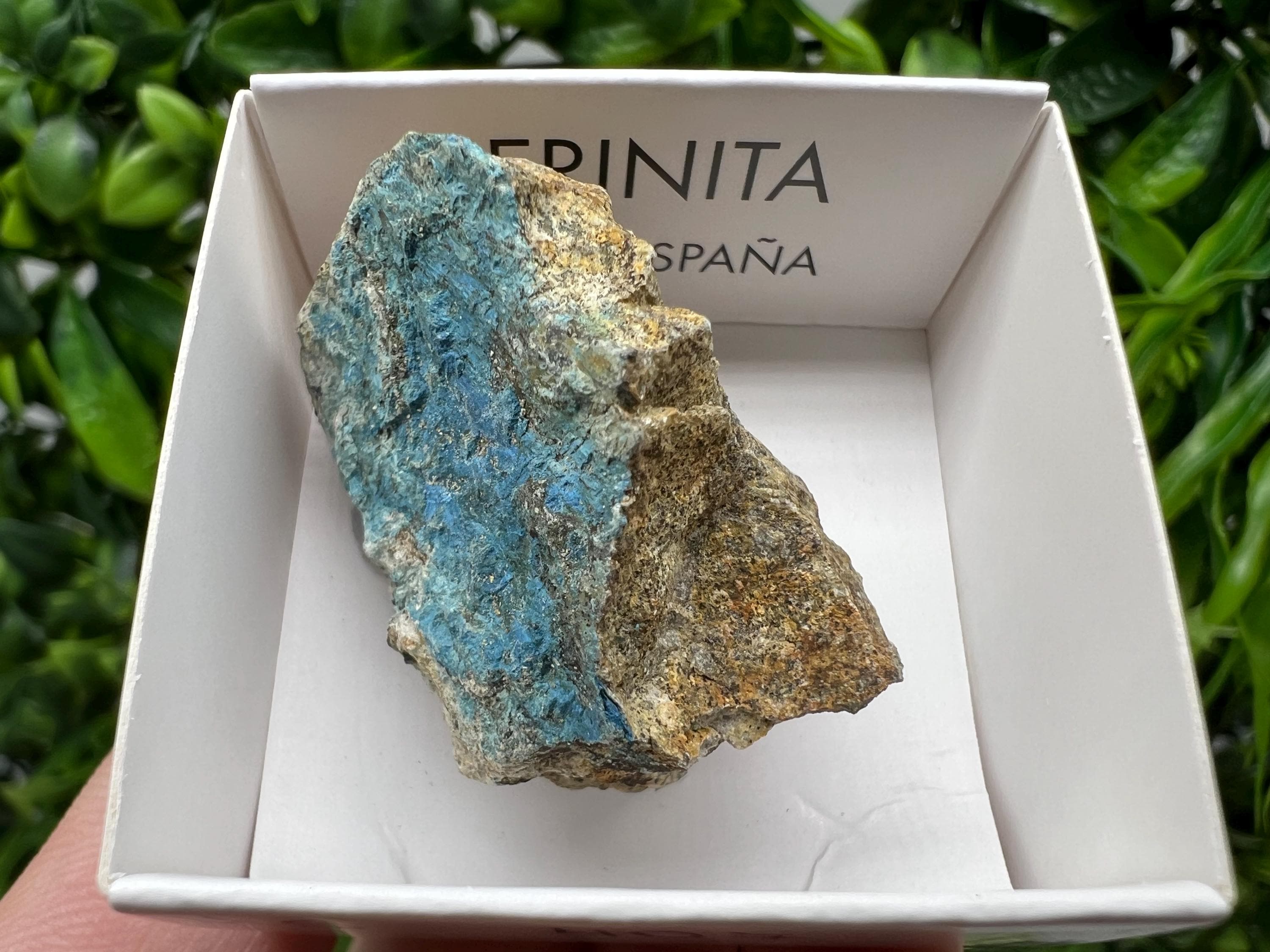 Rare Raw Aerinite Mineral Specimen: Lleida, Spain