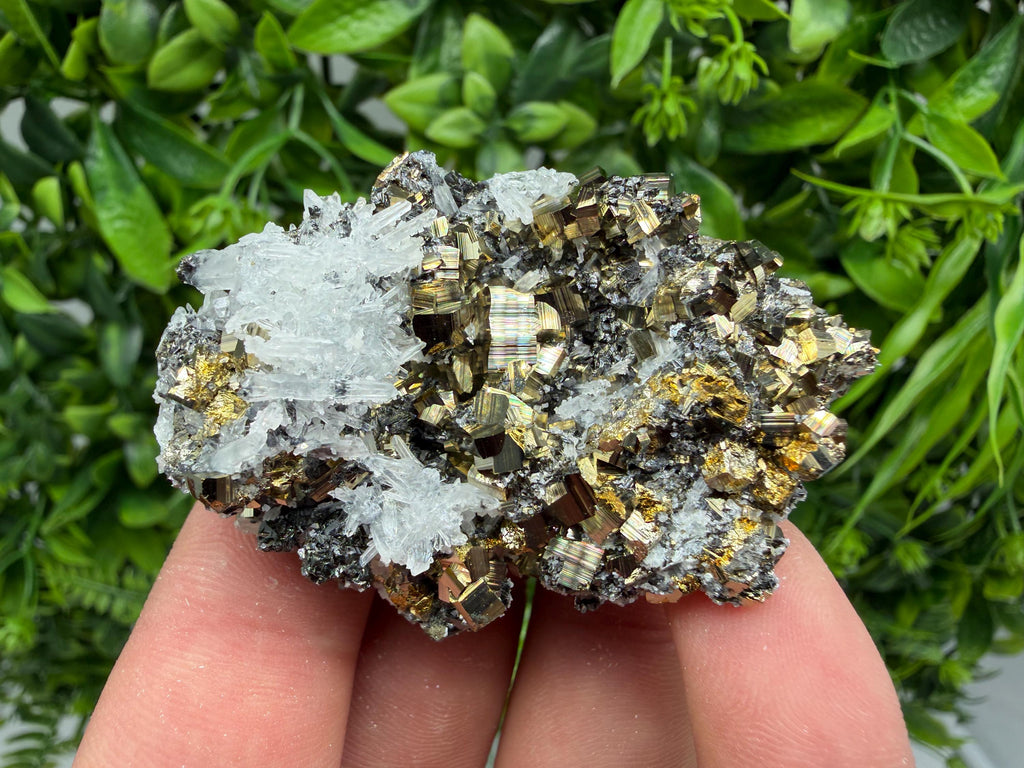 Pyrite Sphalerite Quartz  Mineral Specimen, Krushev dol Mine