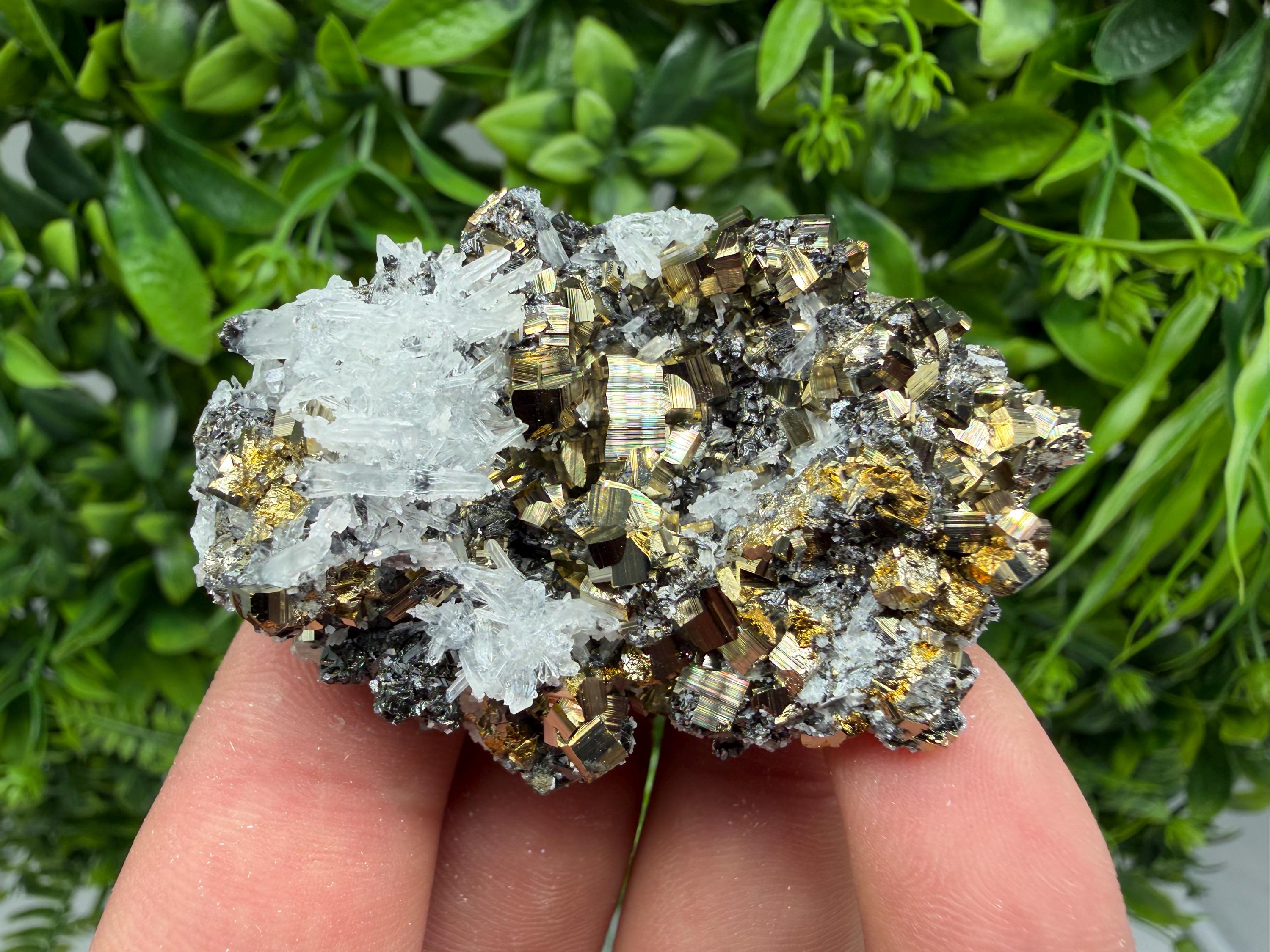 Pyrite Sphalerite Quartz  Mineral Specimen, Krushev dol Mine