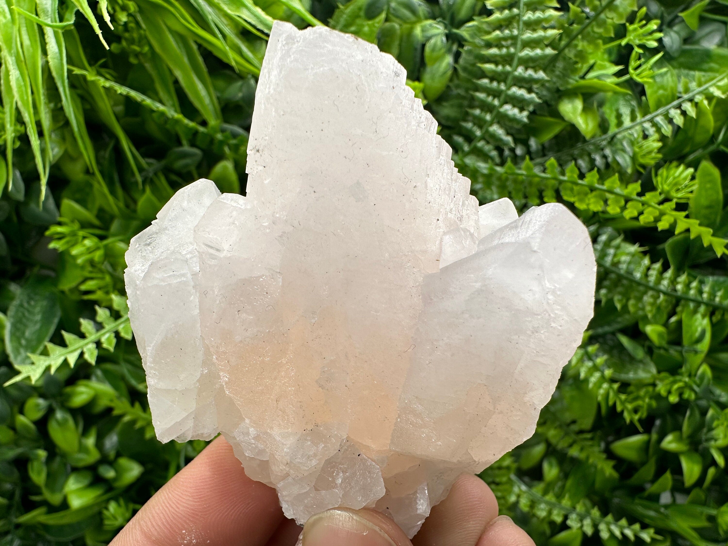UV Reactive Mangano Calcite Crystal: Androvo Mine, Bulgaria