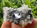 Galena on Quartz Mineral Specimen, Bulgaria Origin