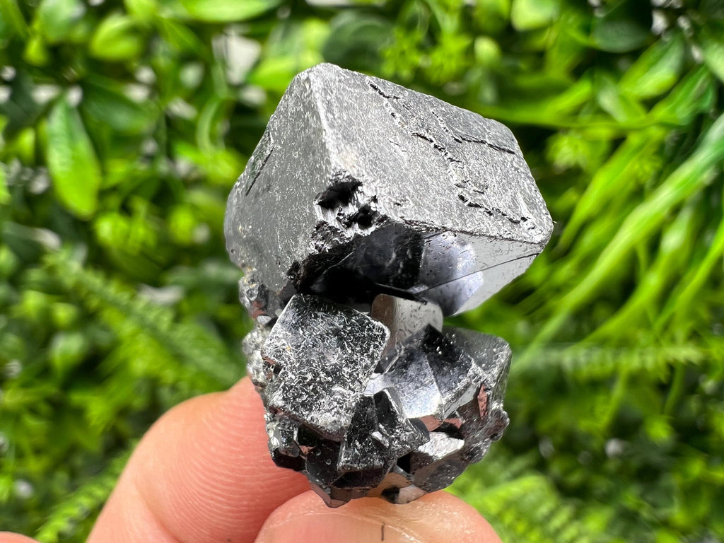 Shiny Galena Cluster: Borieva Mine, Madan Bulgaria
