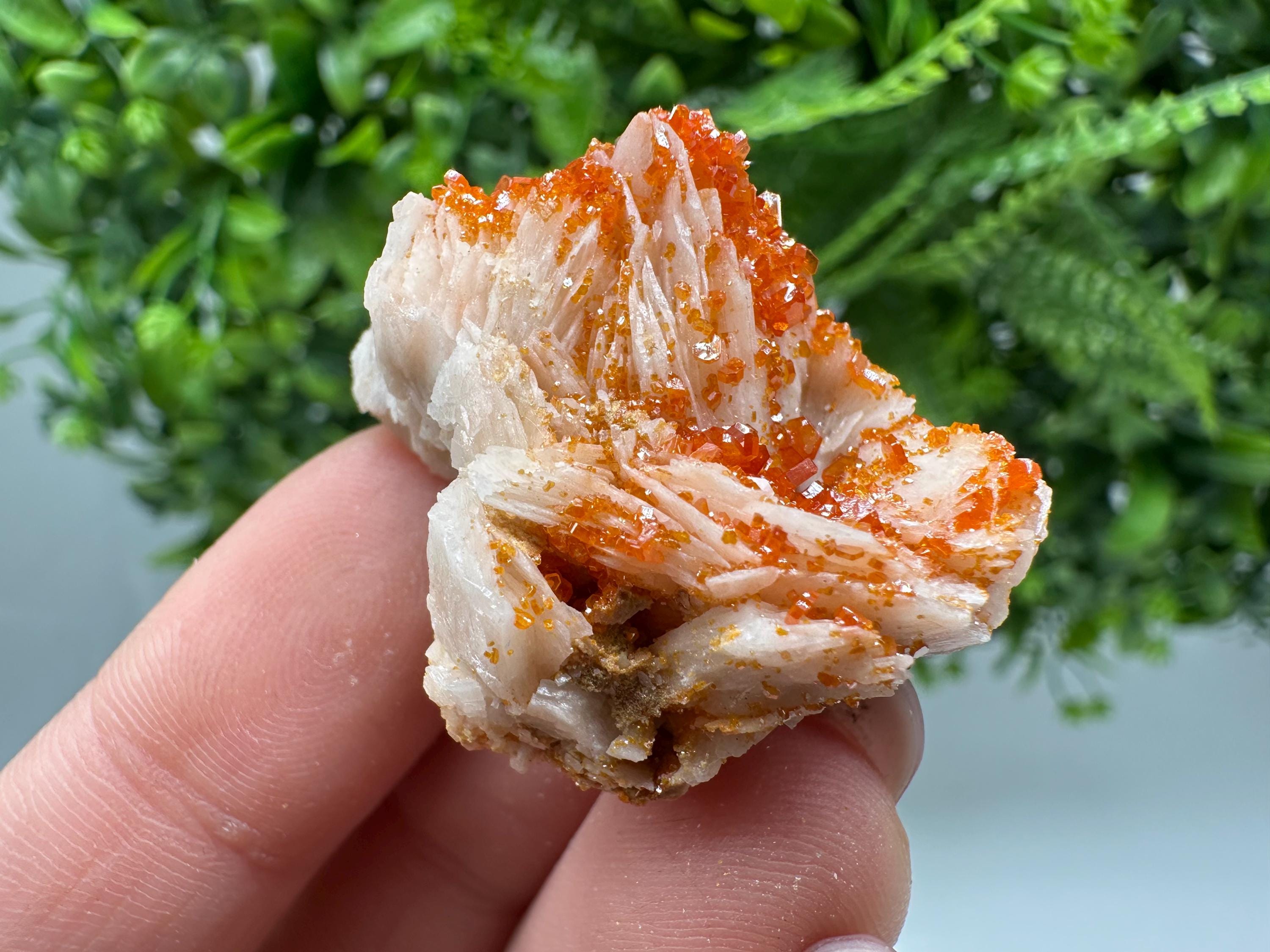 Red Vanadinite Crystals on Barite, Morocco Mineral Specimen