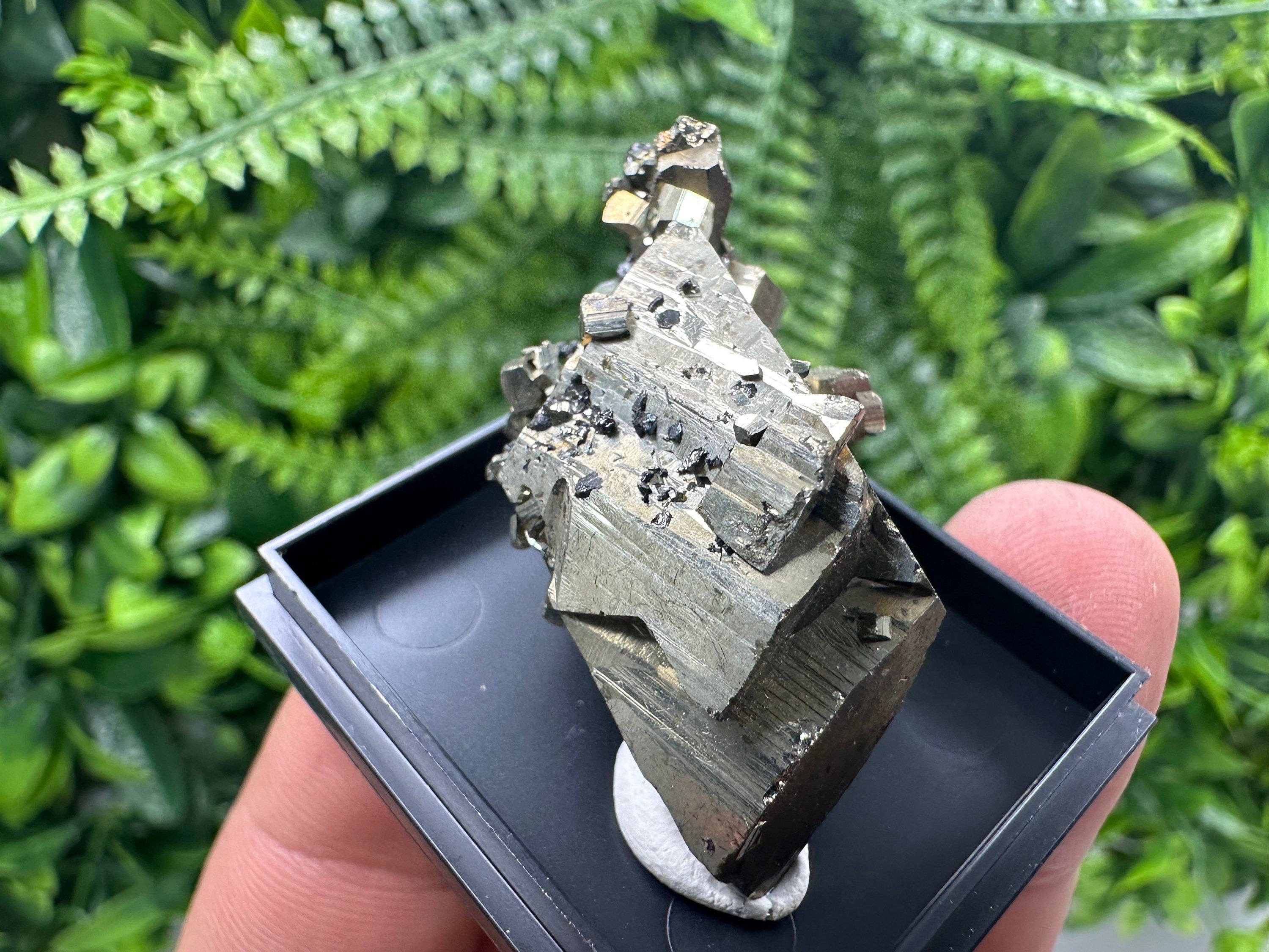 Shiny Pyrite Crystal Cluster, Borieva Mine, Bulgaria