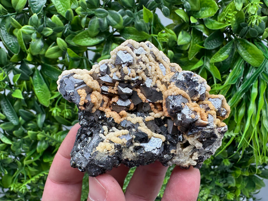 Galena with Dolomite Cluster, Krushev dol Bulgaria