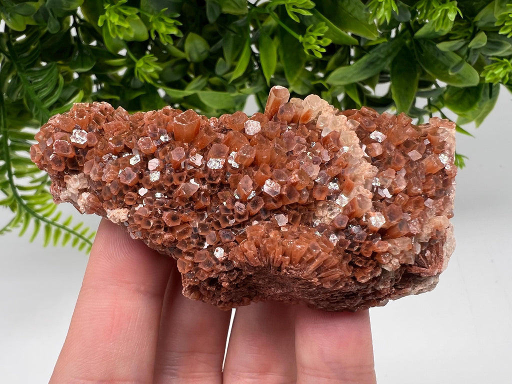 Large Aragonite Sputnik Cluster, Raw Moroccan Crystal Decor