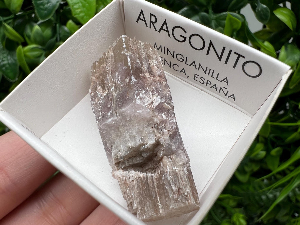 Amazing Aragonite from Spain,Aragonite crystal,cluster,natural,mineral,specimen,Purple Aragonite,Spanish Aragonite,Mineralcollection