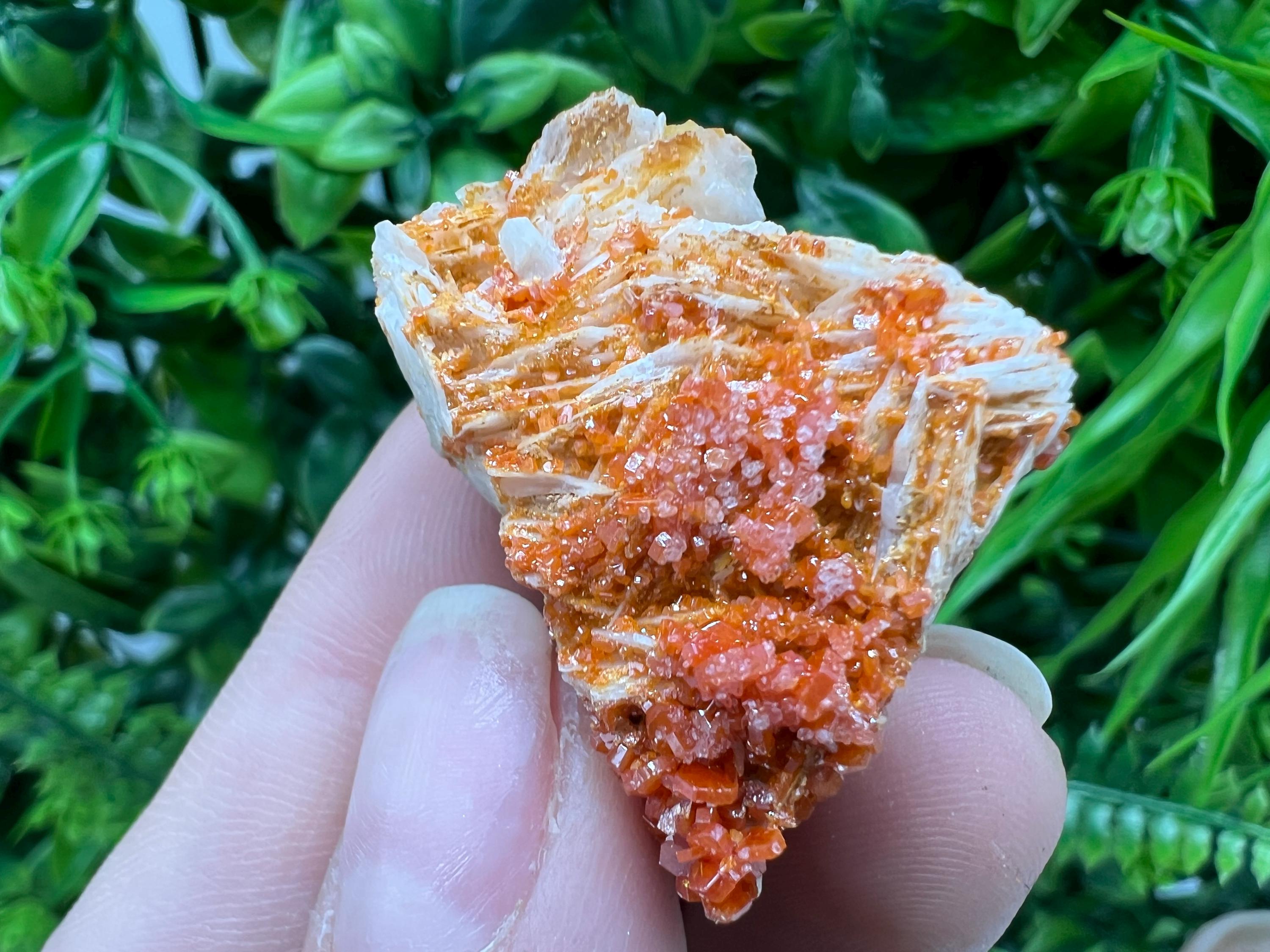 Red Vanadinite on Barite from Marocco,crystal minerals Speciment cluster Vanadinite crystal Vanadinite Geology Vanadinite cluster minerals