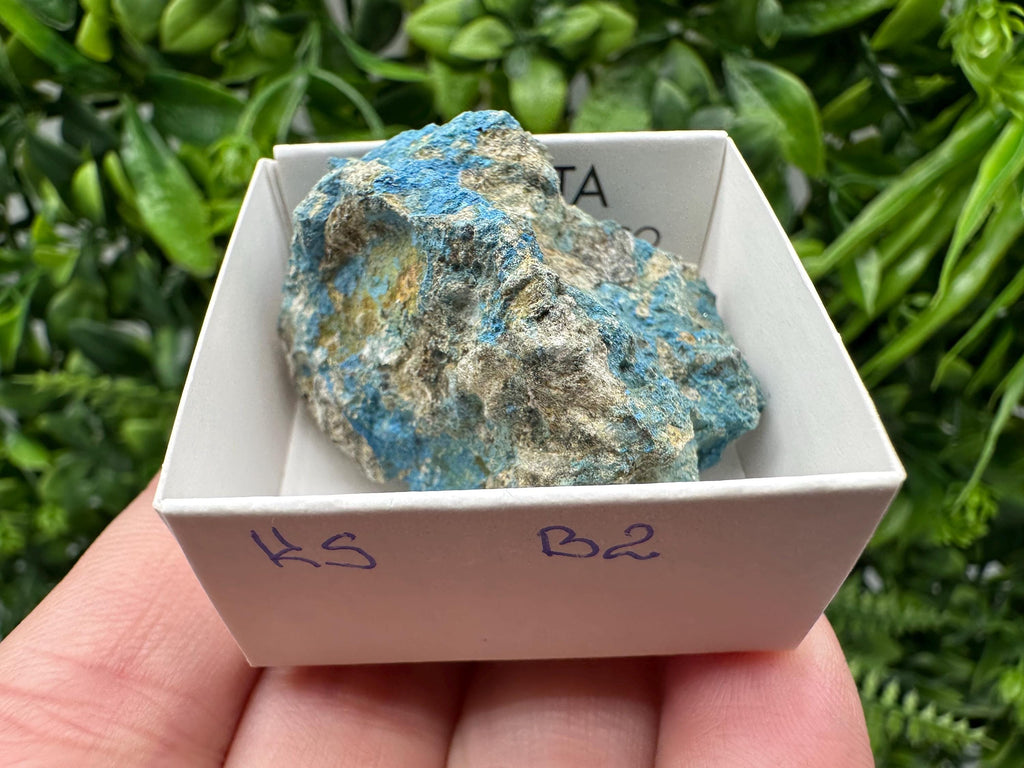 Rare Raw Aerinite Mineral Specimen: Lleida, Spain Crystal