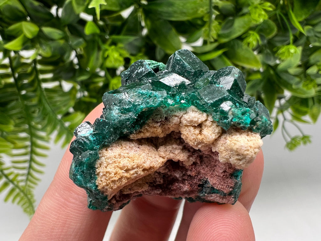 Stunning Green Dioptase from Sanda Hills,Mindouli,Pool Department,Mindouli District,Congo,green Dioptase,Dioptas Crystal,Dioptase collecting