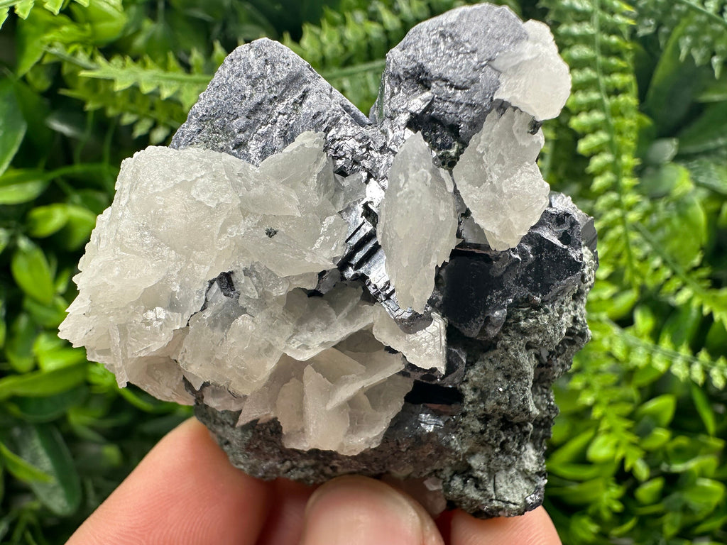 Galena on Sphalerite & Calcite: Natural Mineral Souvenir from Borieva Mine, Bulgaria