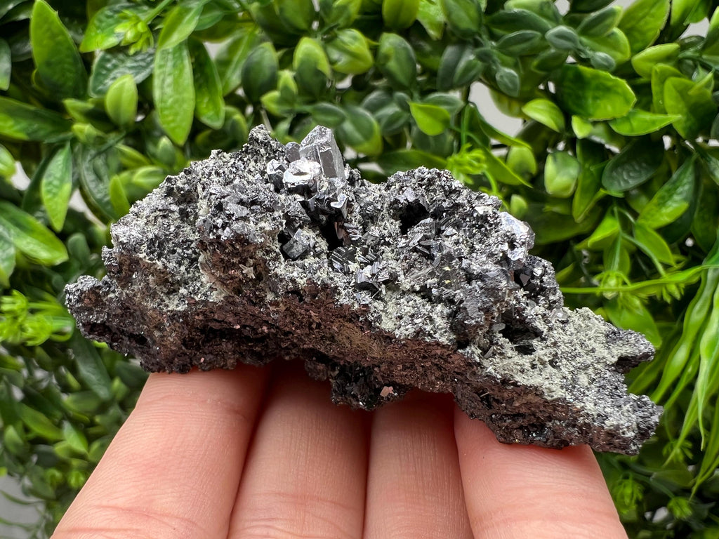 Sphalerite Galena with Chlorite, Borieva Mine Madan Bulgaria