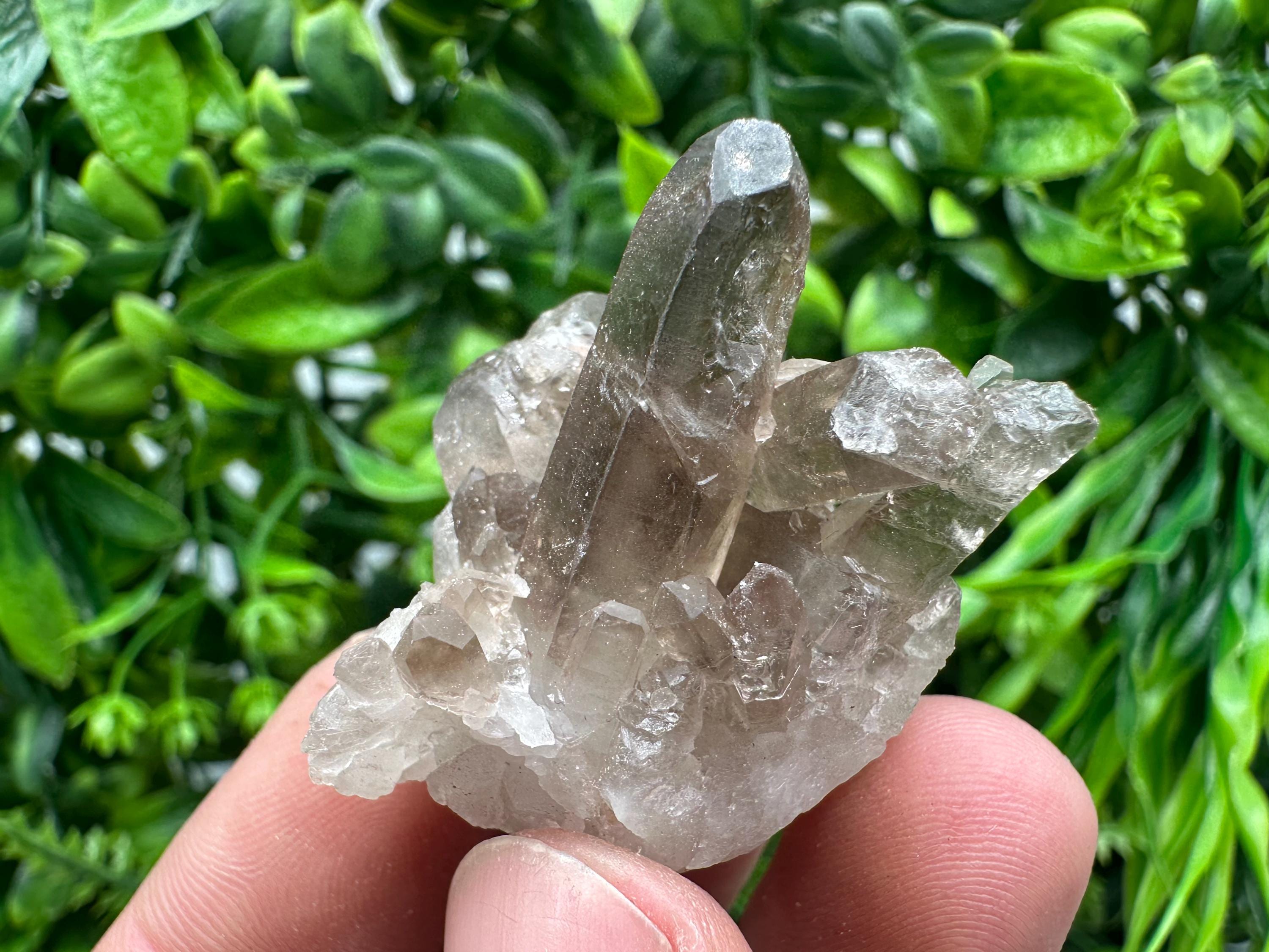 Rare Smoky Quartz Crystal Cluster, Brazil Mineral Specimen