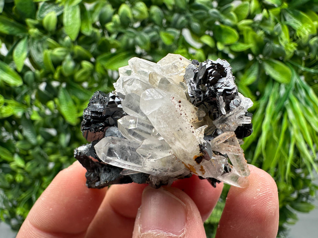 Wonderful Sphalerite Chalcopyrite on  Quartz whit Galena feom 9 th September mine,Bulgaria,natural,collection mineral specimen,gift