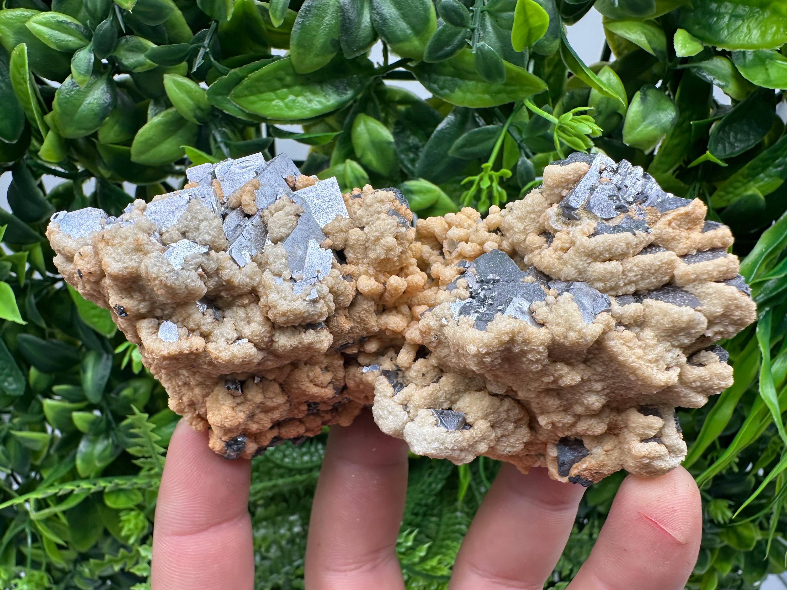 Galena Dolomite Cluster, Krushev dol Bulgaria Mineral Specimen