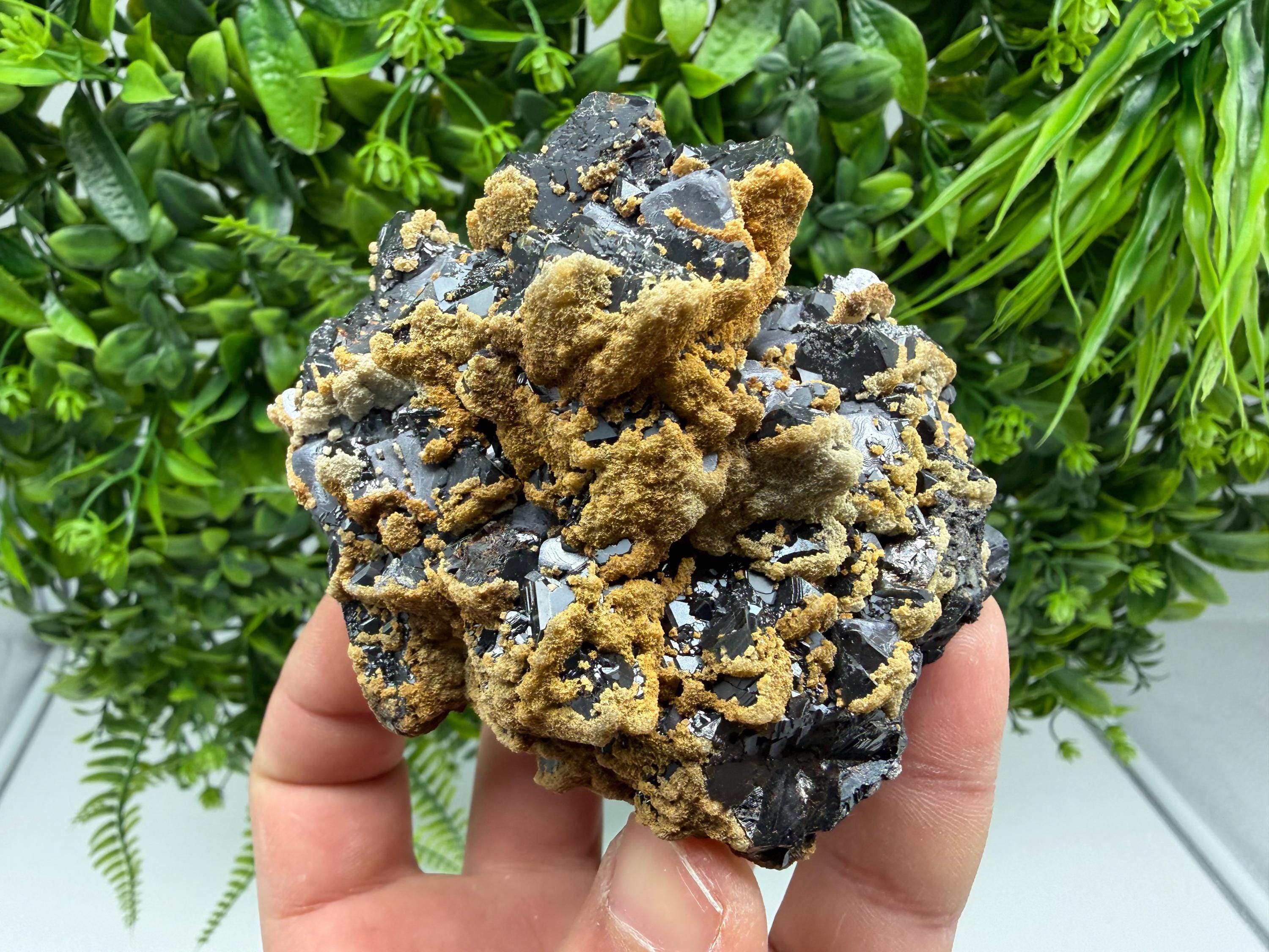 Skeletal Galena with Dolomite: Krushev Dol Mine, Bulgaria