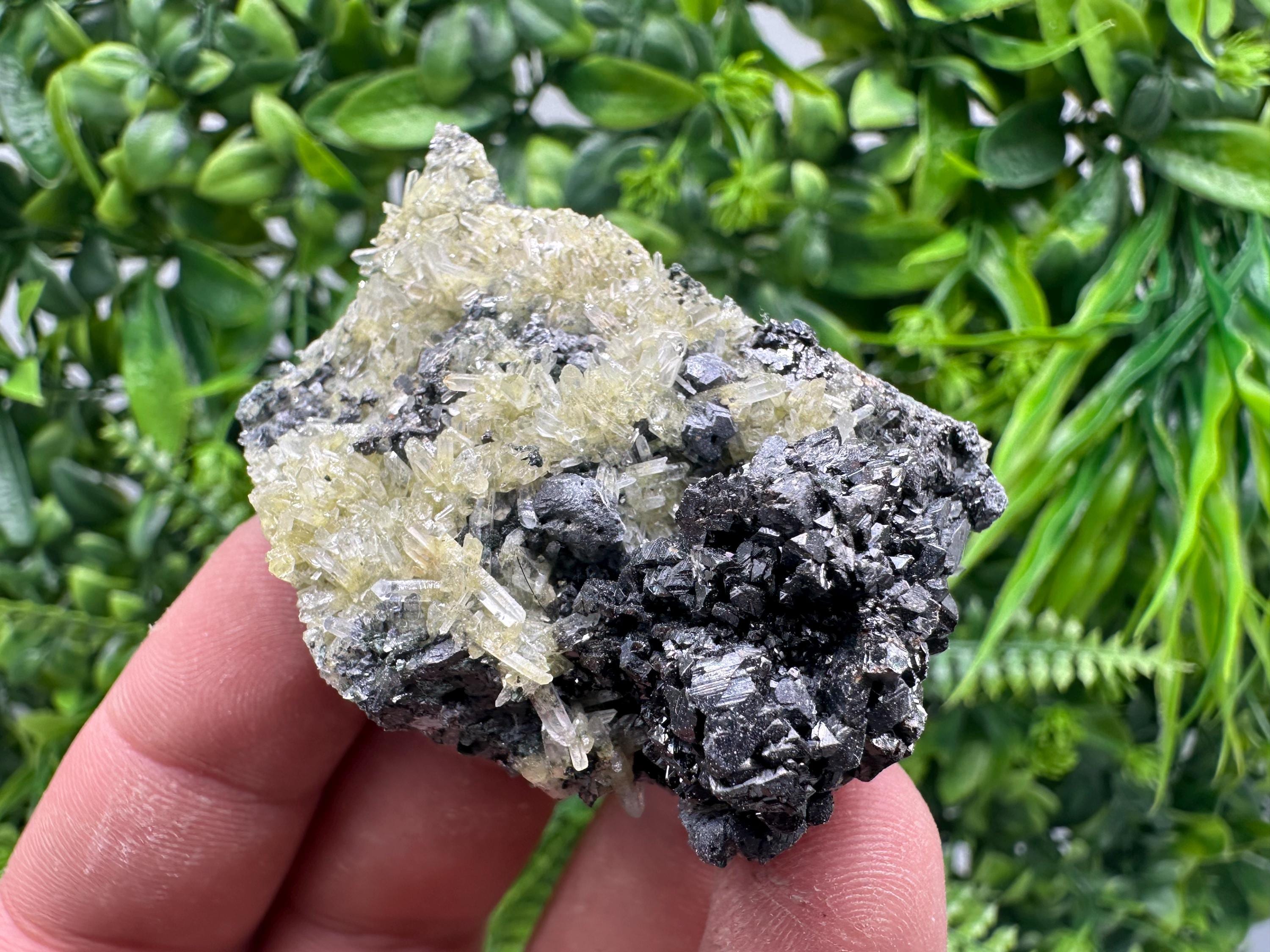 Sphalerite Galena on Quartz with Epidote, Bulgaria Mineral Specimen