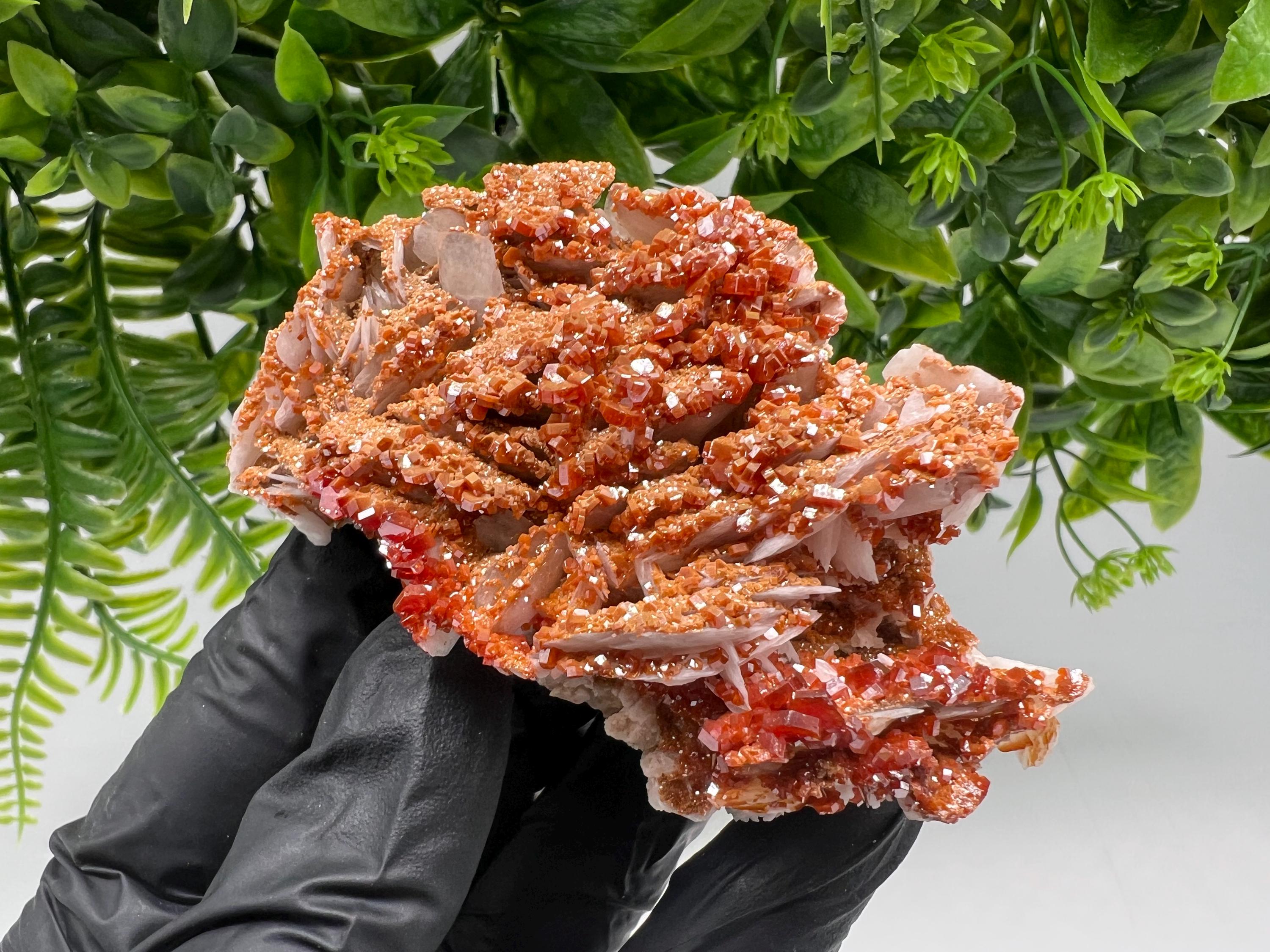 Red Vanadinite on Barite from Marocco,crystal minerals Speciment cluster Vanadinite crystal Vanadinite Geology Vanadinite cluster minerals