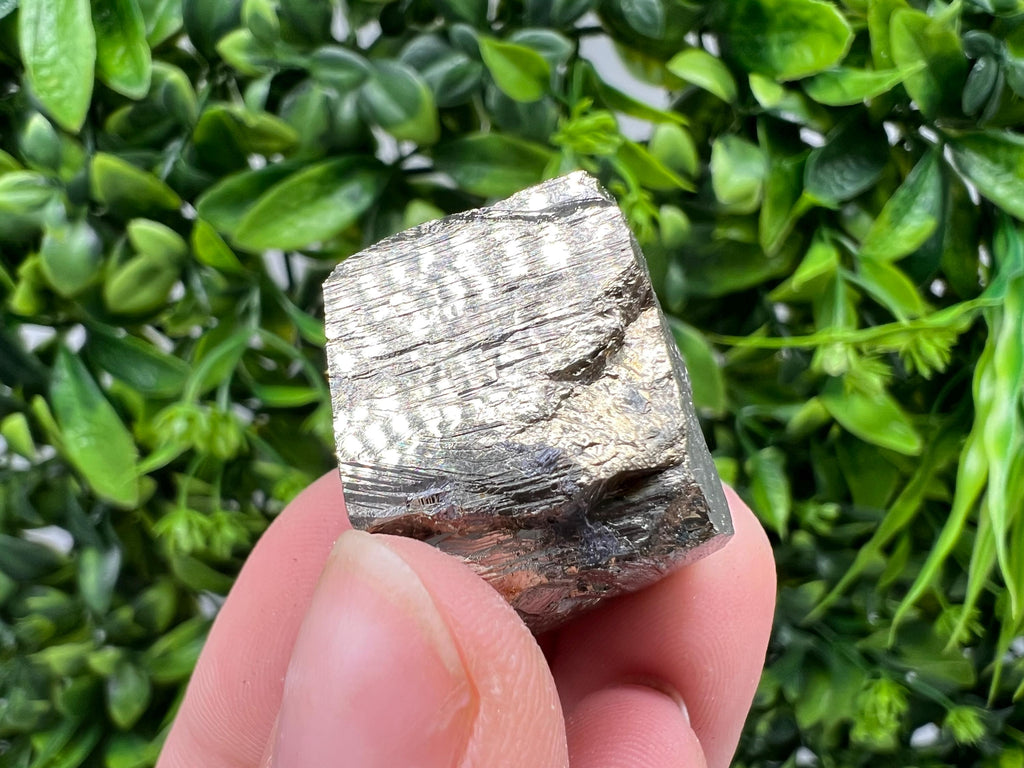 Rare Crystallized Pyrite Cluster, Borieva Mine, Bulgaria