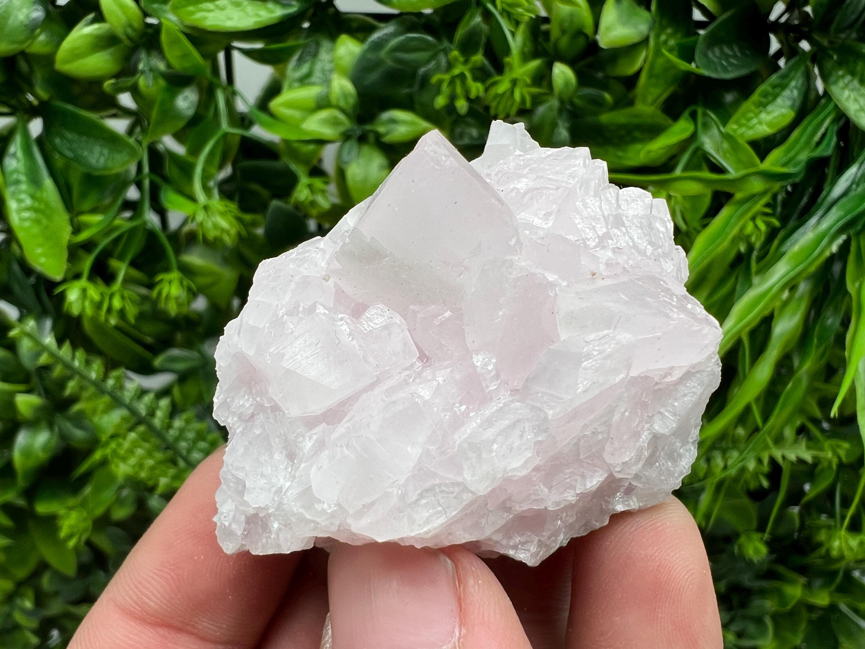 UV Reactive Mangano Calcite Crystal: Androvo Mine, Bulgaria