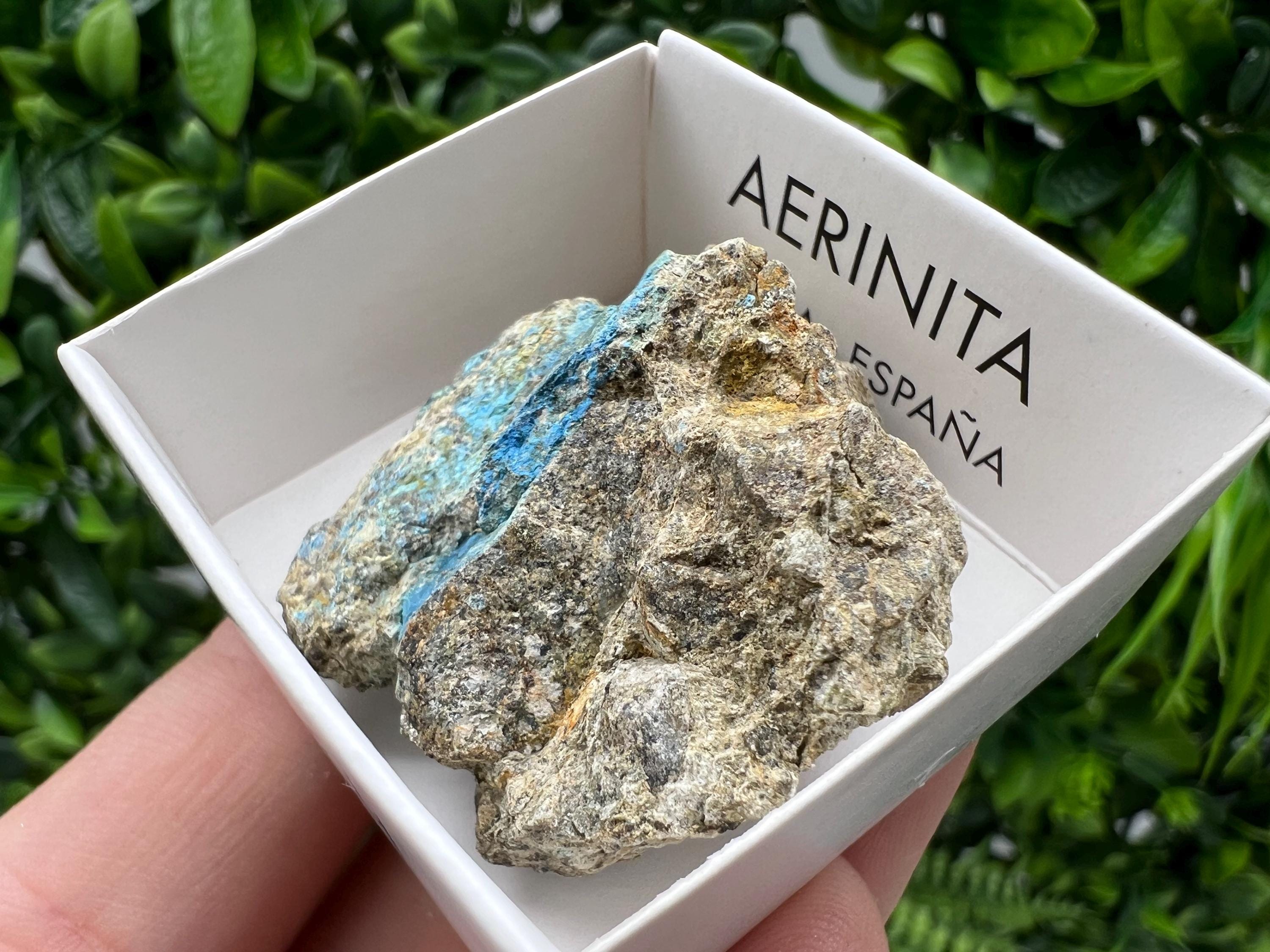 Rare Raw Aerinite Mineral Specimen: Collection Crystal from Lleida, Spain (3.5/3.5 CM)