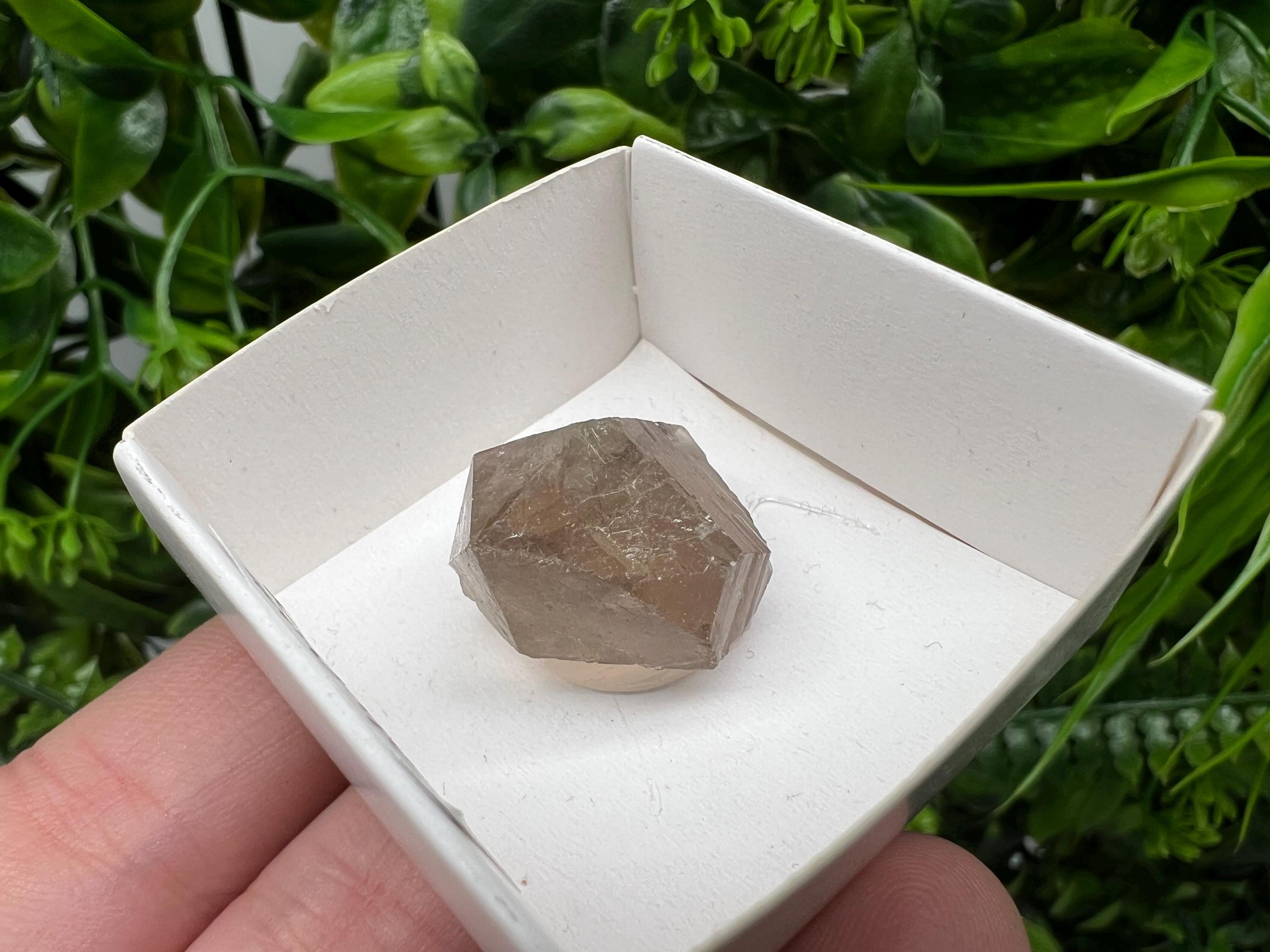 Rare Smoky Quartz Point, Fedenstock Switzerland Mineral Specimen (22/22 MM)
