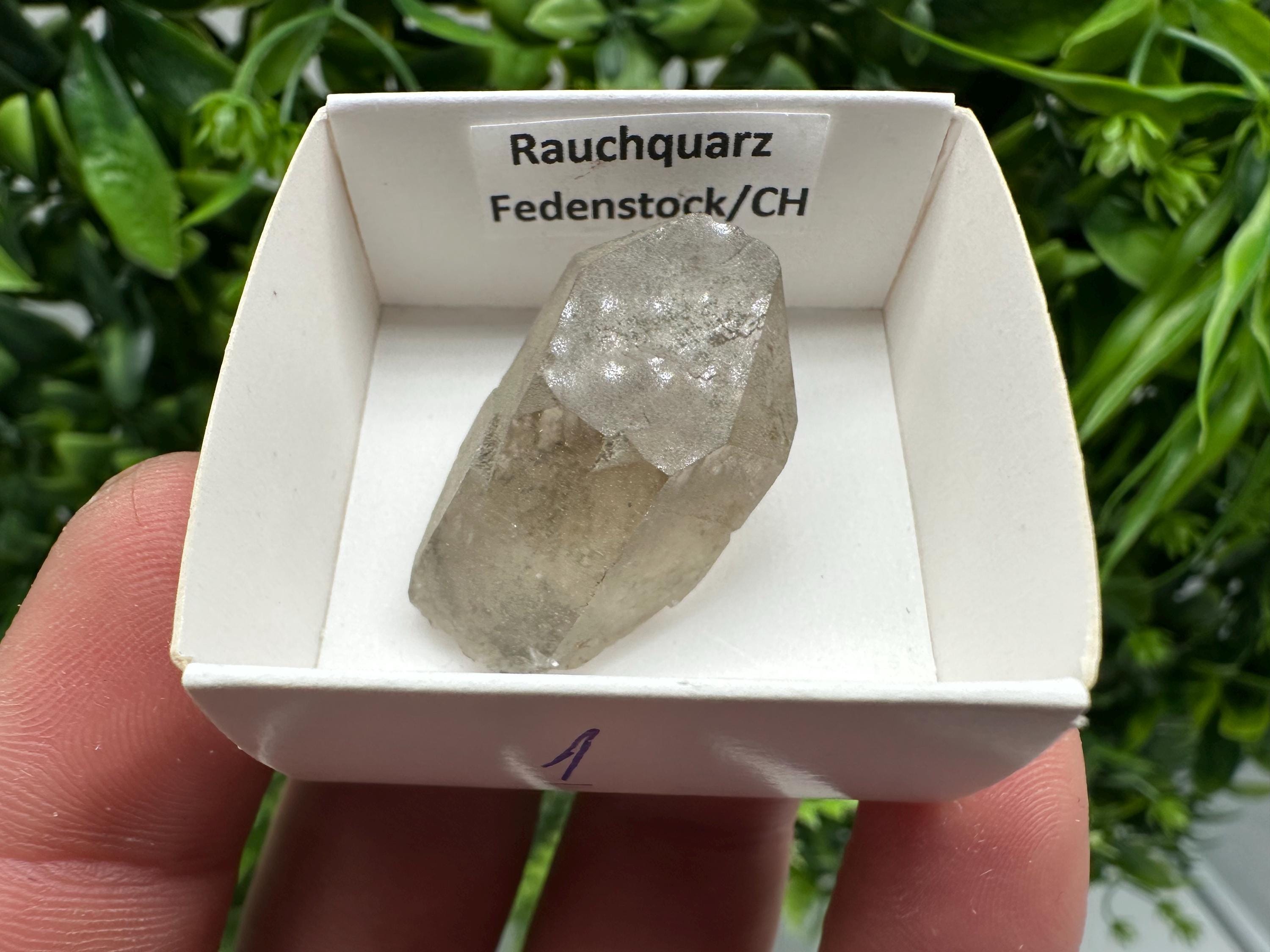 Rare Smoky Quartz from Fedenstock (mountain) Switzerland,Mineral,Specimen,Collection,Black Quartz,Mineral,Home,Smoky Quartz,Quartz point