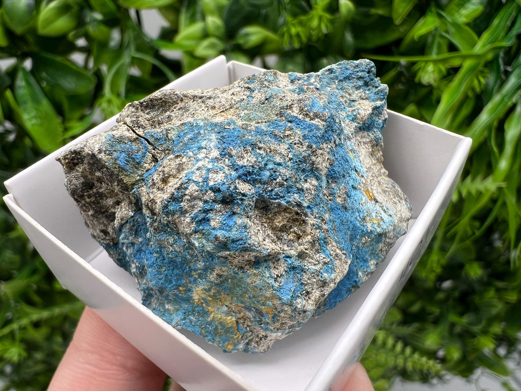 Rare Raw Aerinite Mineral Specimen: Lleida, Spain Crystal (4/3.5cm