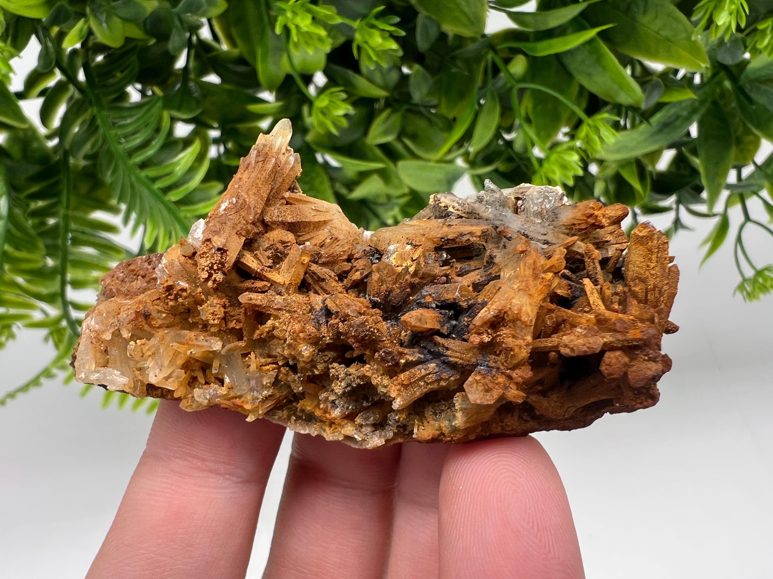 Bulgarian Quartz Specimen: Iron Oxide Limonite Mineral Collection