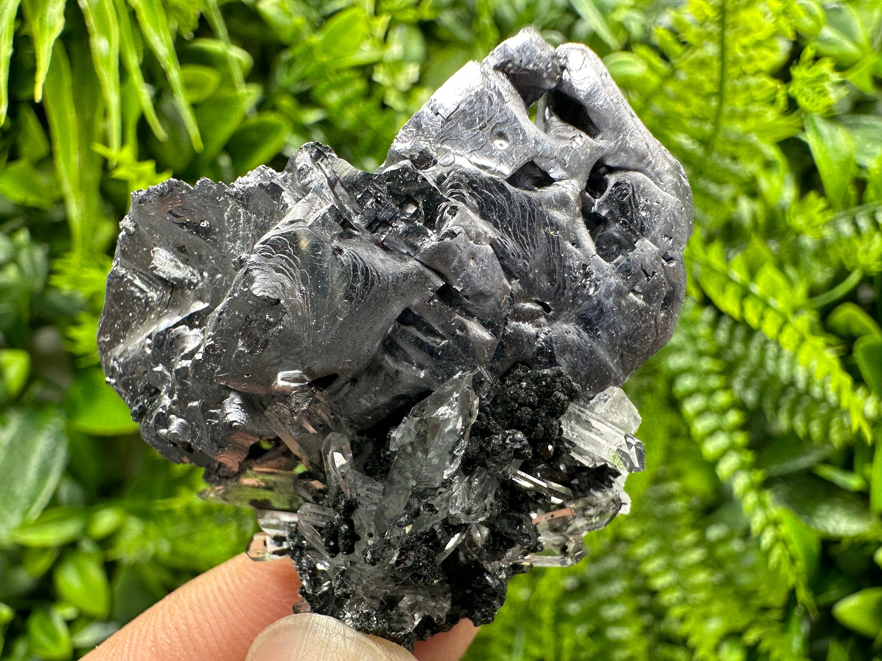 Melted Galena on Quartz with Chlorite - Borieva Mine, Bulgaria
