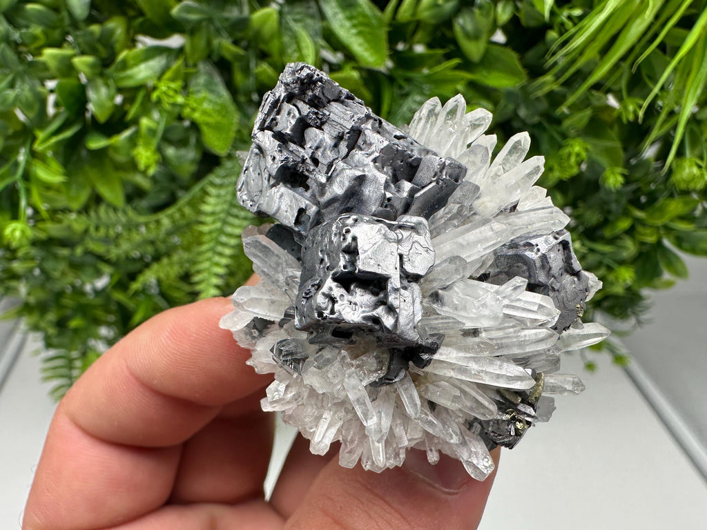 Aesthetic Natural shiny Galena whit Siderite and Quartz from 9 th September mine,Bulgaria,collection specimen,rare galena,Galena cluster