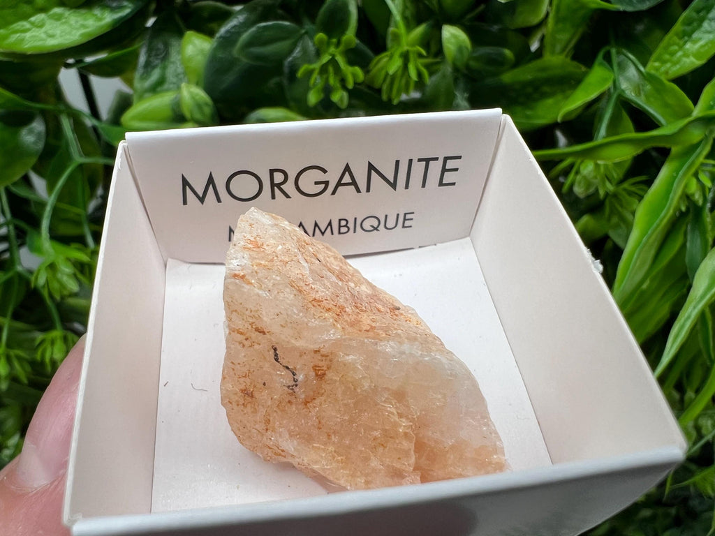 Rare Raw Morganite Specimen: Mozambique Crystal Collection (3/3.5cm)