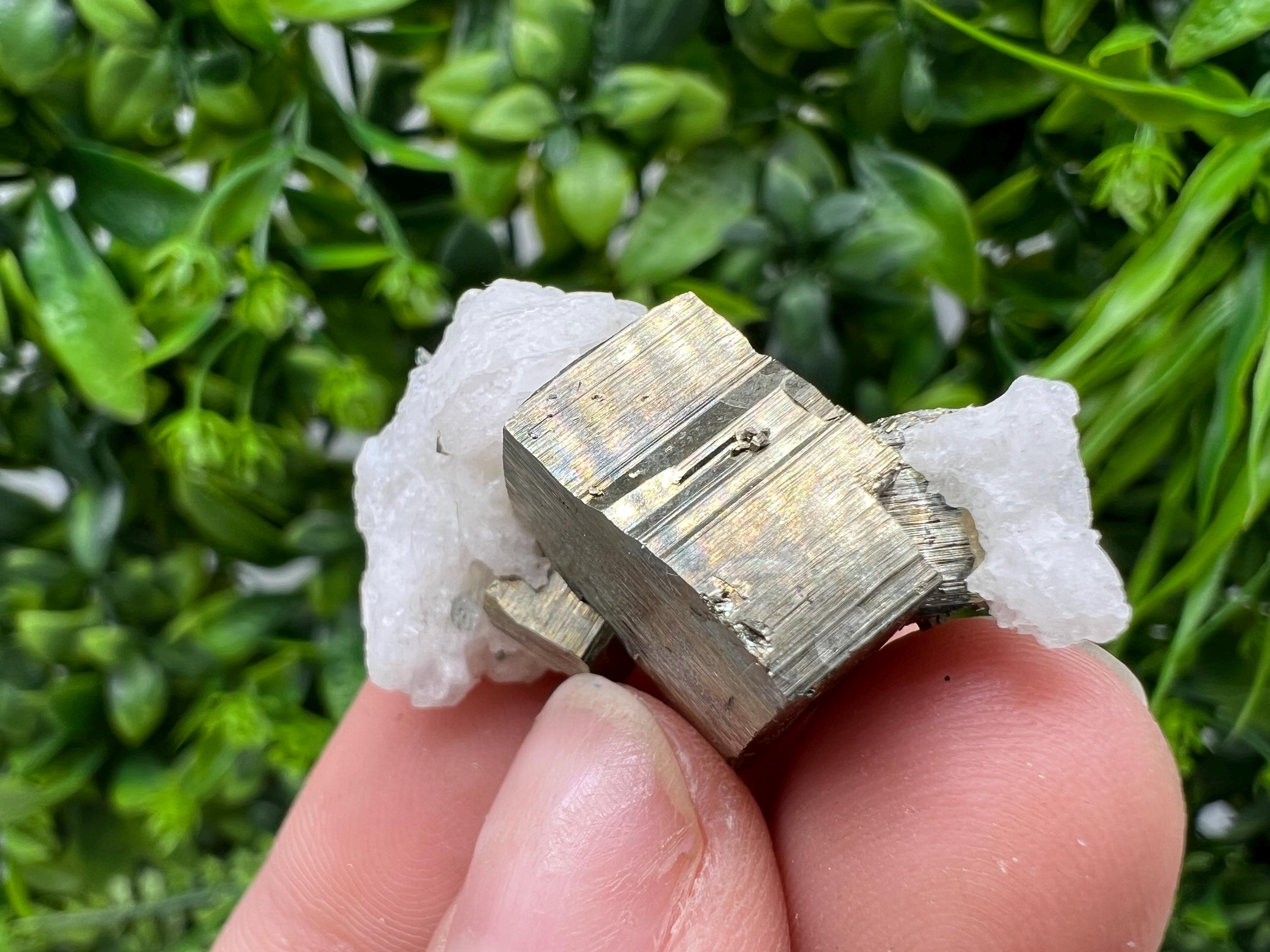 Rare crystallisation Pyrite,Borieva mine,Bulgaria,floating Pyrite,golden Pyrite,Pyrite cluster,mini Collection specimen,Rainbow Pyrite