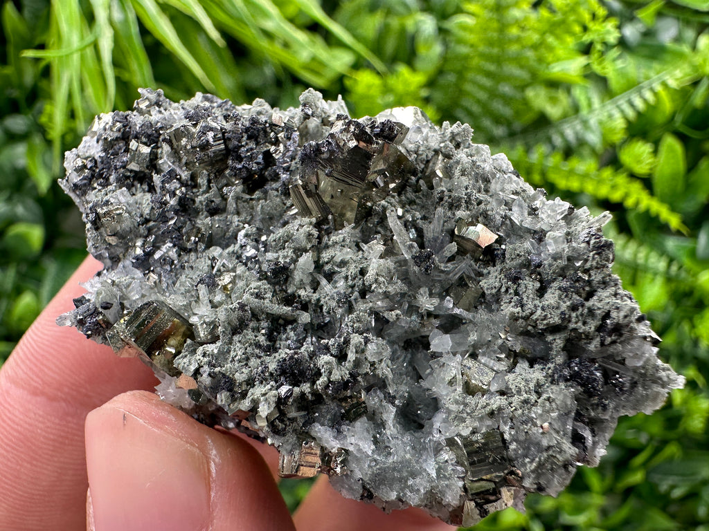 Pyrite on Quartz Needles, Borieva Mine Bulgaria, Natural Mineral Specimen