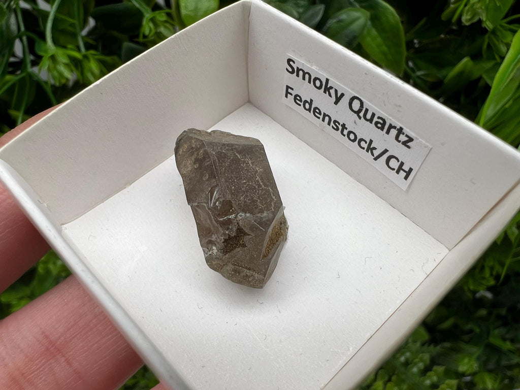 Rare Smoky Quartz Point, Fedenstock Switzerland Mineral Specimen (25MM)