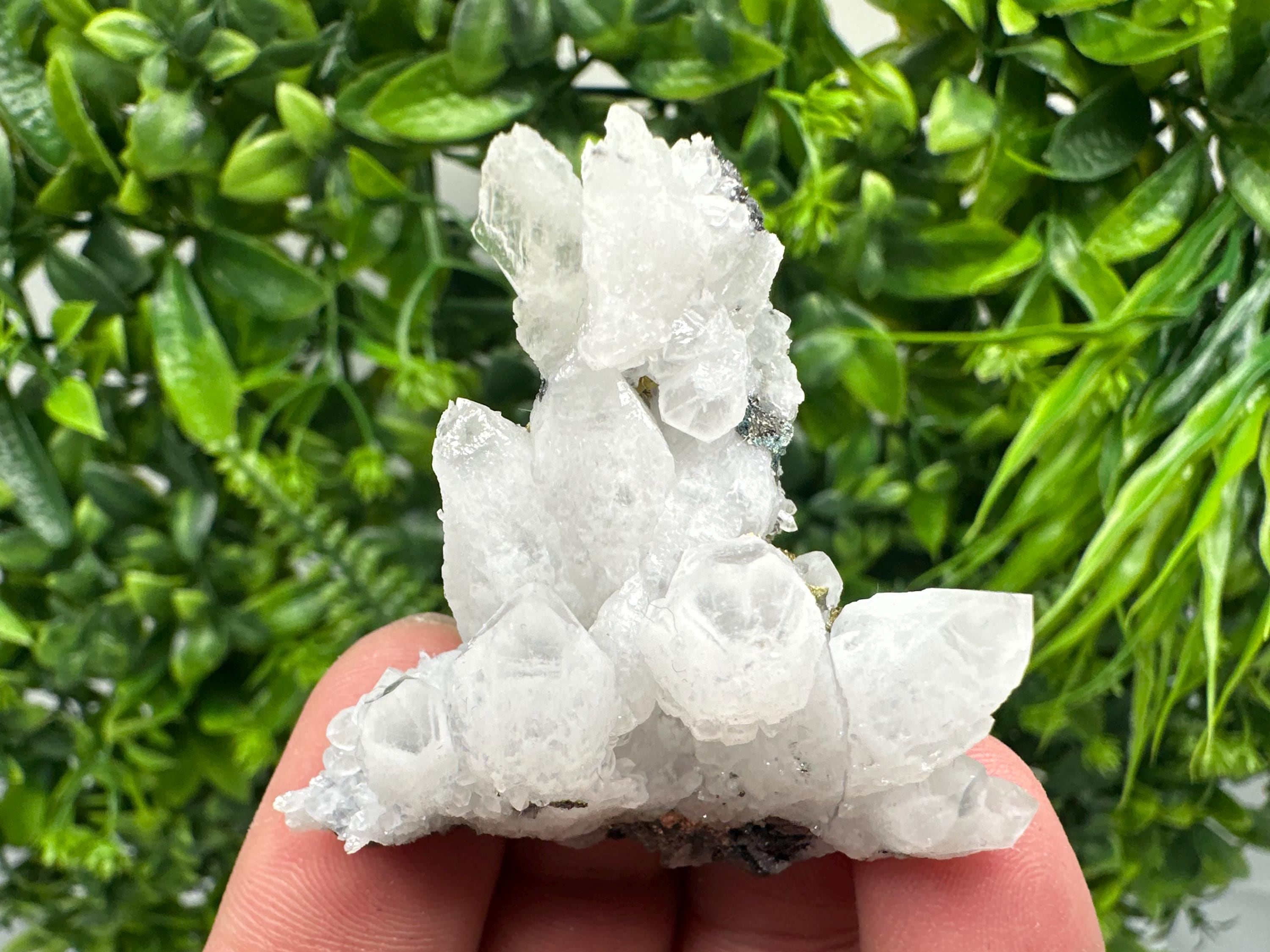 Chalcopyrite on Quartz, Krushev Dol Mine, Bulgaria, Mineral Specimen