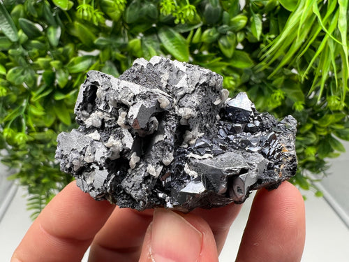 Aesthetic Natural shiny Galena whit Siderite and Quartz from 9 th September mine,Bulgaria,collection specimen,rare galena,Galena cluster