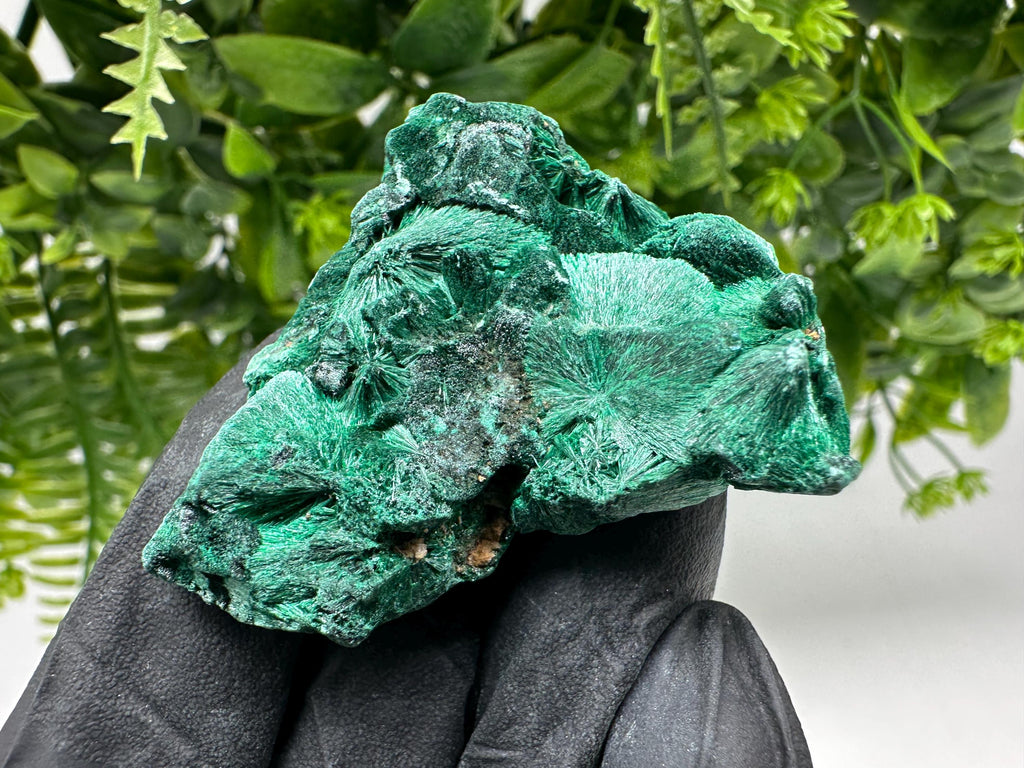 Malachite Crystal from Congo,Minerals,Crystals from Congo,Green Malachite, Malachite,Natural Malachite,Malachite Stone,Chakra, Specimens