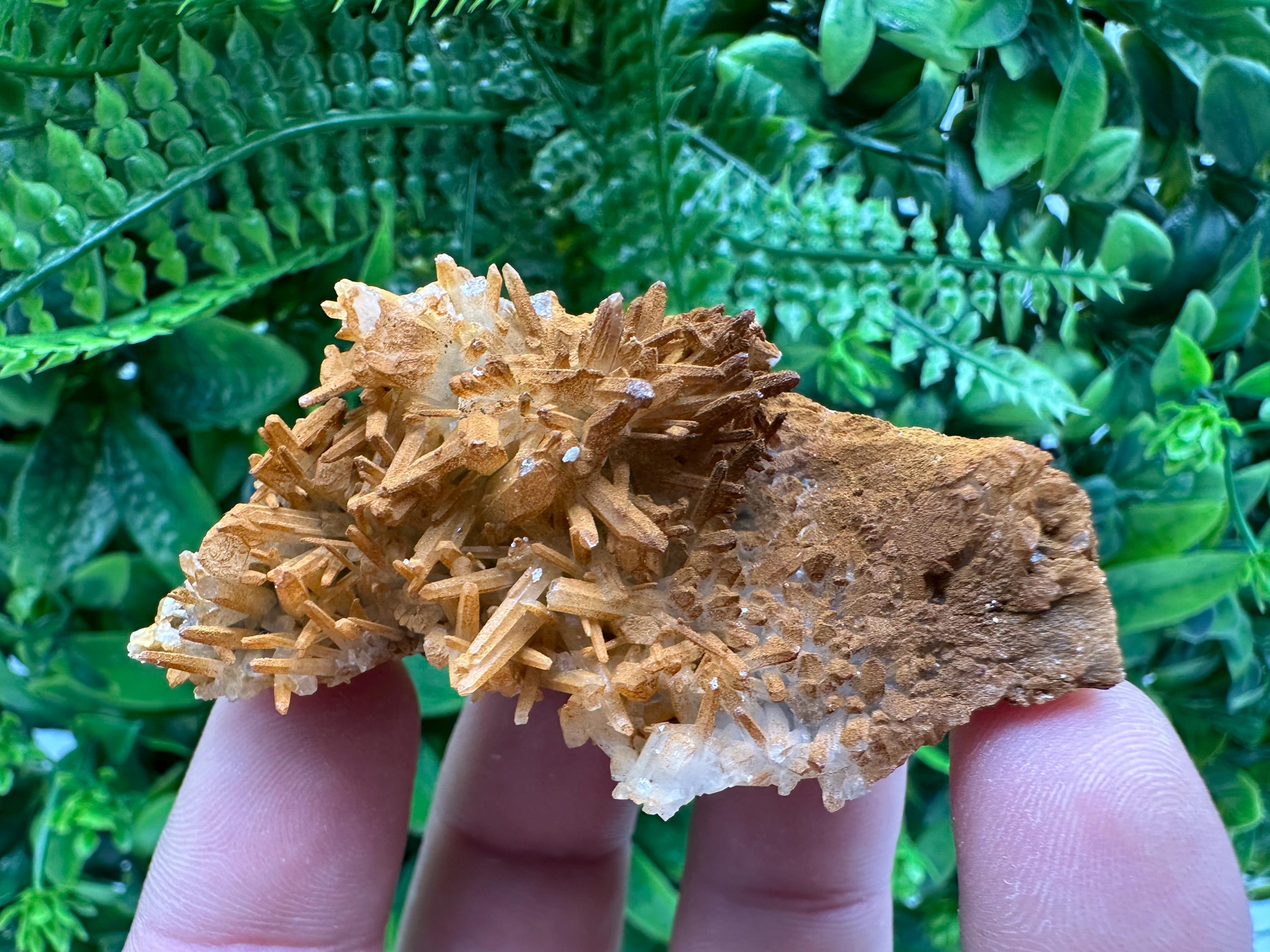 Limonite Coated Quartz Crystal - Iron Oxide Mineral Specimen