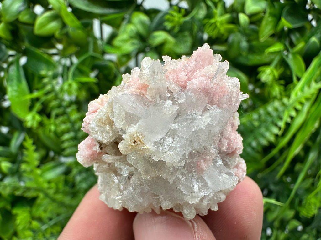 Pink Rhodochrosite Crystal: Starnica Mine, Bulgaria