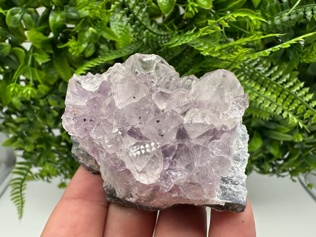 Brazilian Amethyst Cluster, Purple Quartz Crystal Specimen