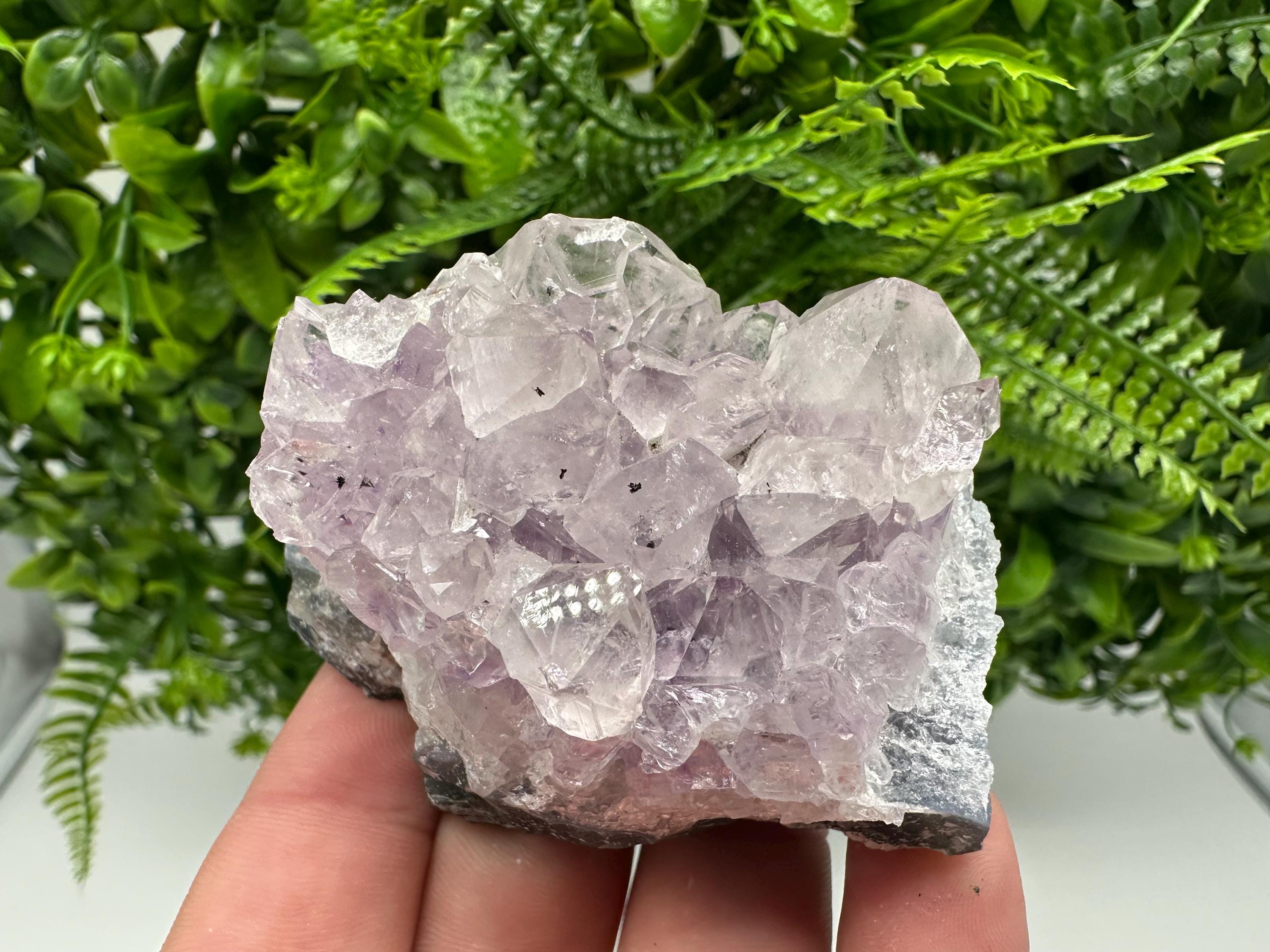 Brazilian Amethyst Cluster, Purple Quartz Crystal Specimen