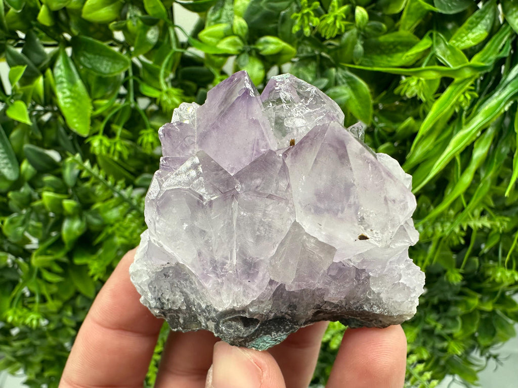 Brazilian Amethyst Crystal Cluster, Purple Quartz Specimen