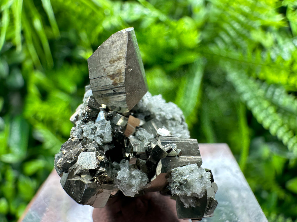 Golden Pyrite Cluster, Natural Crystal Mineral Souvenir